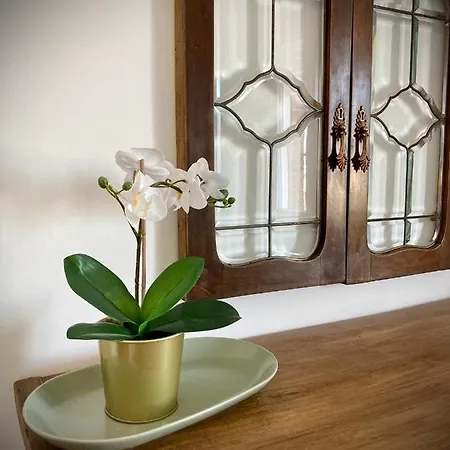 Ravenna D'amare マリーナ・ディ・ラヴェンナ